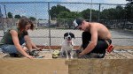 http://haveboard.com/wp-content/uploads/wp-post-thumbnail/4YgGfR.jpg